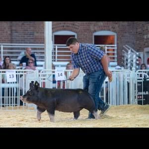 Meet your Posher, Dane